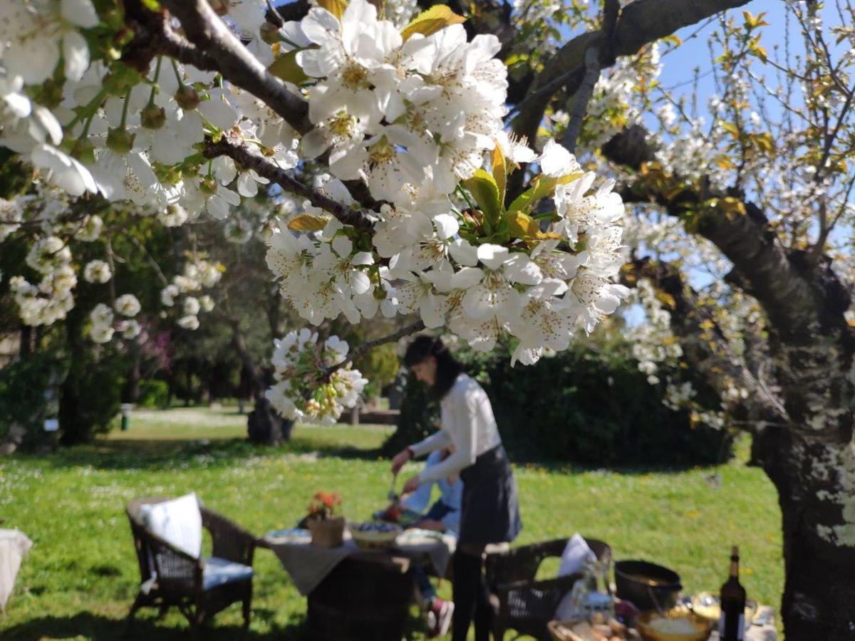Masia Mimosa Darnius エクステリア 写真